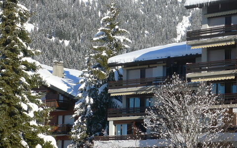 Villars 130: Sne, Vinter, Ejendom, Træ, Fryser, Hjem, Hus, Tag, Afdeling, Pine Family