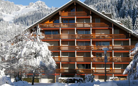Villars 600: Sne, Bygning, Himmel, Ejendom, Bjerg, Hvid, Hus, Træ, Arkitektur, Træ