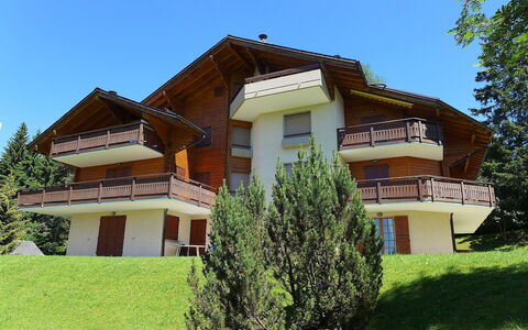 Villars 787: Plante, Himmel, Bygning, Vindue, Træ, Hus, Land Lot, Græs, Sommerhus