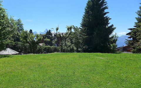Villars 787: Lawn, Græs, Træ, Land Lot, Naturligt Miljø, Eng, Græs-, Ejendom, Daytime, Pasture