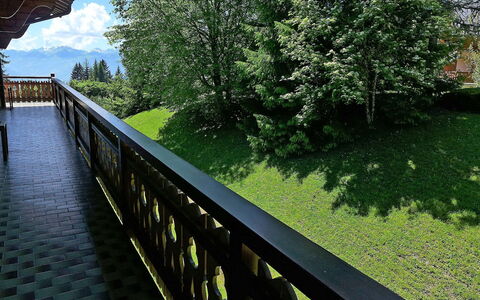 Villars 835: Natur, Grøn, Træ, Gelænder, Transportere, Græs, Vandvej, Blad, Arkitektur, Walkway