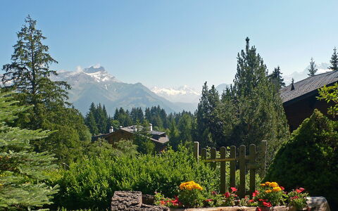 Villars 850: Bjergrige Landskabsformer, Bjerg, Naturlige Landskab, Natur, Ødemark, Træ, Bjergkæde, Hill Station, Vegetationen, Alps