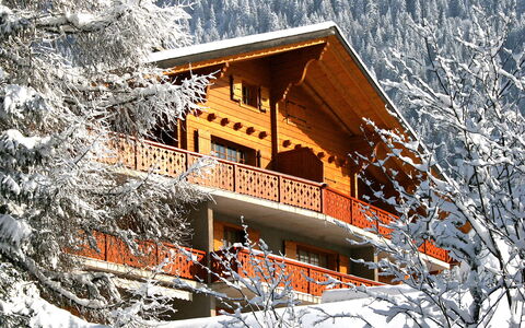 Villars 953: Ejendom, Bygning, Sne, Vindue, Hældning, Hus, Naturlige Landskab, Træ, Afdeling, Træ