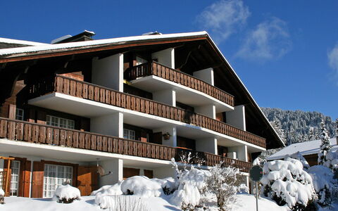 Villars 995: Himmel, Bygning, Plante, Vindue, Sky, Hus, Sne, Hældning, Træ, Træ