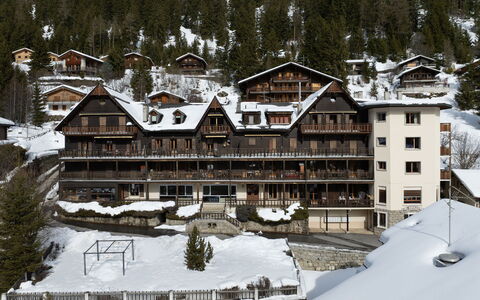 Champex 150: Bjergkæde, Dal, Bjerglandsby, Alps, Altan