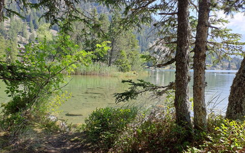 Champex 150: Vand, Grøn, Krop Af Vand, Natur, Vandressourcer, Naturligt Miljø, Naturlige Landskab, Vegetationen, Sommer, Bank