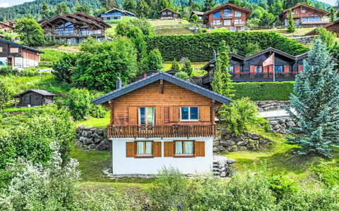 Lara: Græs, Hus, Landdistrikt, Sommerhus, Landskab, Hjem, Highland, Landsby, Tag