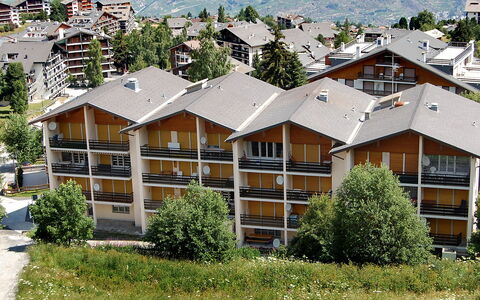 Nendaz 250: Plante, Bygning, Daytime, Vindue, Træ, Botanik, Vegetationen, Urban Design, Land Lot, Arkitektur