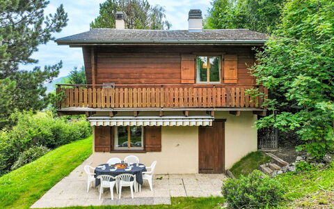 Mungg: Plante, Bygning, Ejendom, Vindue, Grøn, Træ, Himmel, Træ, Sky, Hus