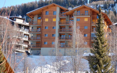 Nendaz 360: Himmel, Bygning, Vindue, Sne, Træ, Træ, Hus, Lærk, Hældning, Arkitektur