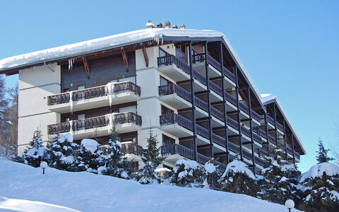 Nendaz 150: Himmel, Bygning, Vindue, Sne, Træ, Urban Design, Hus, Ejerlejlighed, Hældning, Fryser