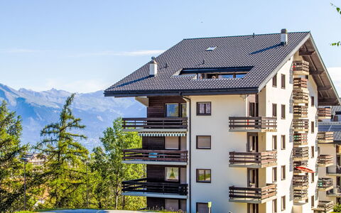 Nendaz 160: Himmel, Bygning, Vindue, Hus, Plante, Træ, Hældning, Bjerg, Træ, Boligområde