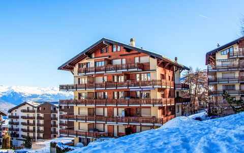 Nendaz 831: Lejlighed, Sne, Vinter, Hjem, Fryser, Ejerlejlighed, Hældning, Glacial Landskabsform, Altan, Alps