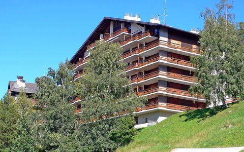 Nendaz 870: Himmel, Bygning, Plante, Træ, Urban Design, Højhus, Kvarter, Ejerlejlighed, Boligområde, Facade