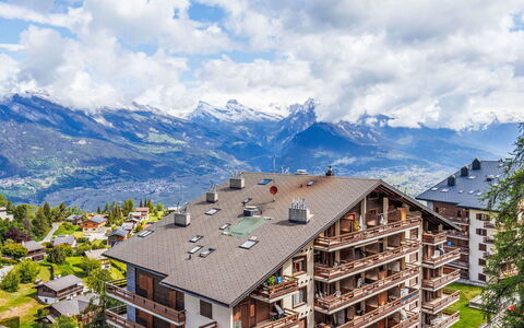 Nendaz 870: Hill Station, Lejlighed, Bjergkæde, Hældning, Altan, Alps, Ejerlejlighed, Dal, Bjerglandsby, Lærk