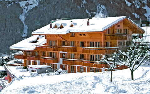Grindelwald 100: Bygning, Sne, Ejendom, Vindue, Hus, Hældning, Arkitektur, Sommerhus, Fryser, Træ