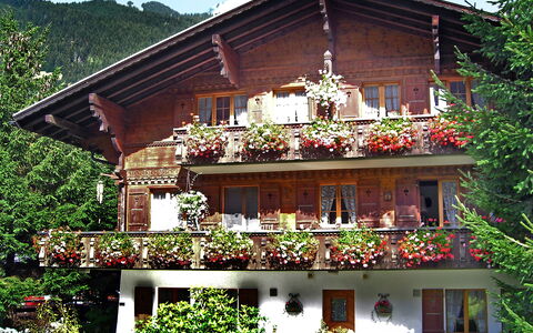 Grindelwald 121: Bygning, Vindue, Plante, Ejendom, Himmel, Træ, Hus, Sommerhus, Boligområde