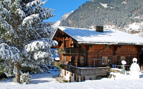 Grindelwald 121: Sne, Himmel, Bjerg, Træ, Hældning, Naturlige Landskab, Plante, Hus, Bygning