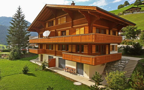 Grindelwald 106: Plante, Bygning, Himmel, Vindue, Sky, Træ, Hus, Træ, Lærk, Græs