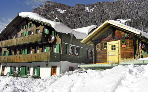 Grindelwald 145: Vand, Plante, Bygning, Himmel, Ejendom, Sky, Svømmepøl, Azure, Vindue, Hus