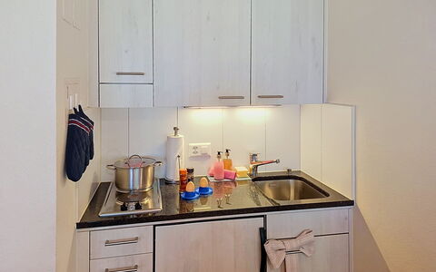 Grindelwald 150: Køkken, Køkken Apparat, Countertop, Køkkenvask, Større Bandage, Cabinetry, Håndvask, Sanitærarmatur, Tap, Indretning