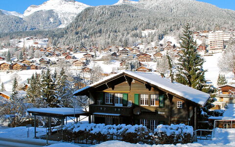 Chalet Anna: Himmel, Sne, Bjerg, Bygning, Natur, Plante, Hus, Træ, Hældning, Naturlige Landskab