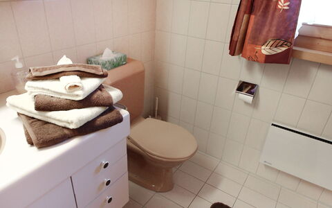Chalet Doris: Ejendom, Badeværelsesvask, Badeværelse, Toiletbræt, Indretning, Etage, Gulvbelægning, Skuffe, Toilet, Materielle Værdier