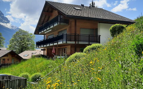 Steinbilla: Sky, Plante, Himmel, Blomst, Bygning, Vindue, Naturlige Landskab, Træ, Hus, Land Lot