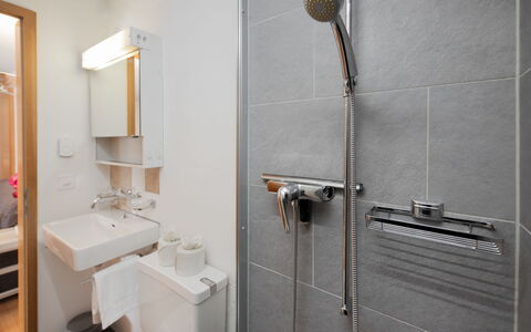 Chalet Chiebrendli: Sanitærarmatur, Badeværelse, Væg, Indretning, Gulvbelægning, Etage, Håndvask, Tap, Vvs, Belysning