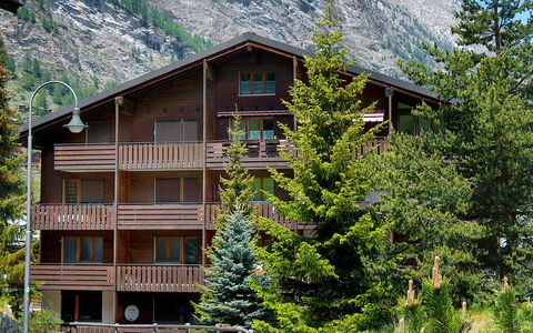 Zermatt 210: Plante, Bygning, Ejendom, Vindue, Bjerg, Træ, Hus, Vegetationen, Land Lot, Naturlige Landskab