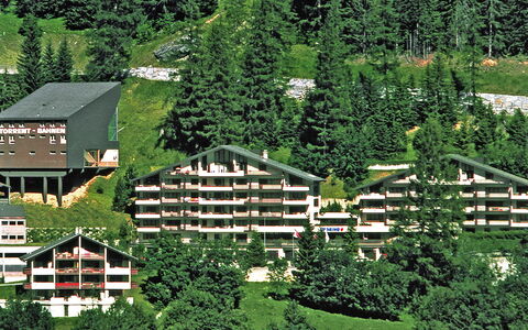 Leukerbad 900: Bygning, Plante, Naturlige Landskab, Natur, Botanik, Naturligt Miljø, Træ, Land Lot, Hældning, Vegetationen
