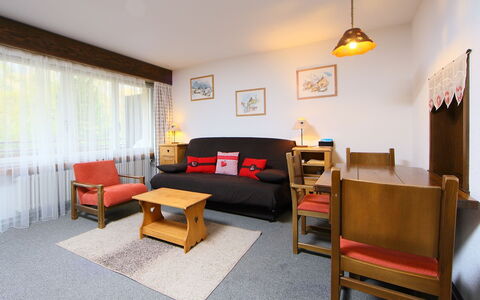 Feriebolig:&nbsp;Ringstrasse Apt 115 900.2