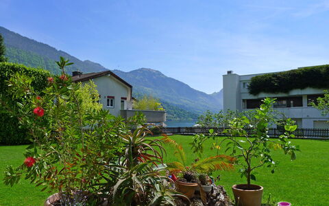 Weggis 7: Plante, Himmel, Vindue, Bygning, Blomst, Blad, Bjerg, Sky, Blomsterkrukke, Vegetationen