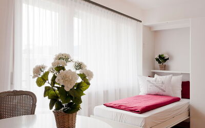 Feriebolig:&nbsp;Double Room 200.1