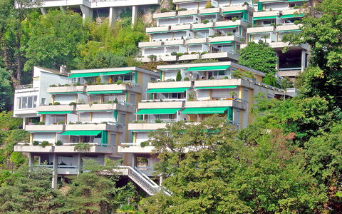 Ascona 300: Bygning, Botanik, Grøn, Træ, Urban Design, Vegetationen, Plante, Kvarter, Boligområde, Ejendom