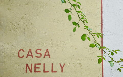 Nelly: Grøn, Væg, Plante, Blad, Font, Træ, Afdeling, Canoe Birch, Blomst