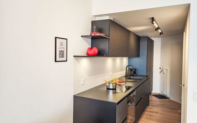 Feriebolig:&nbsp;Residenza Monte Brè - Apt. 203 Haus2 102.34