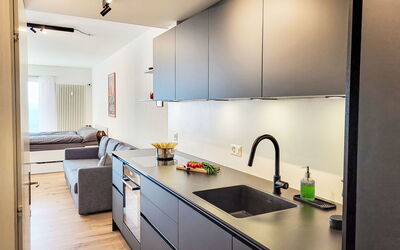Feriebolig:&nbsp;Residenza Monte Brè - Apt. 203 Haus2 102.34