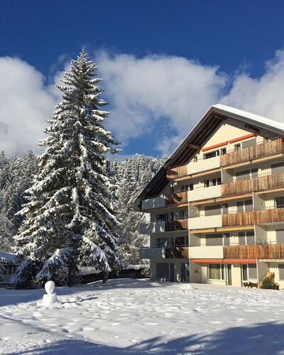 Laax 105