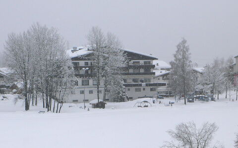 Apt. 13: Sne, Vinter, Hvid, Fryser, Træ, Atmosfaeretryk Fænomen, Hjem, Snestorm, Hus