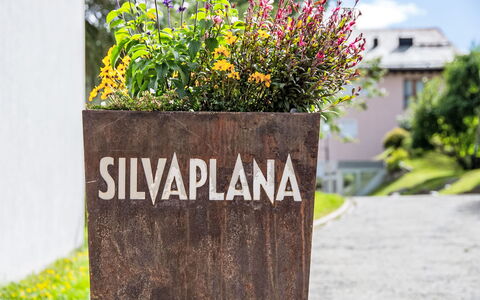 Silvaplana-Surlej 30: Have, Urteagtig Plante, Landscaping, Blomsterkrukke, Stueplante, Blomsterhandlere, Floral Design