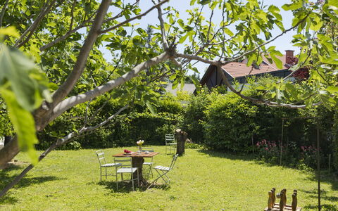 Blanca: Møbel, Hav, Stol, Skygge, Altan, Udendørs Møbler, Eco Hotel, Kyst, Dæk, Bejdse