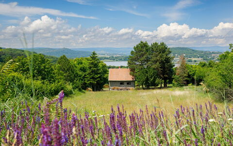 Romantica: Blomst, Sky, Himmel, Plante, Økoregion, Natur, Naturlige Landskab, Vegetationen, Træ