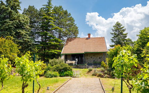 Romantica: Plante, Himmel, Sky, Bygning, Ejendom, Naturlige Landskab, Træ, Hus, Land Lot, Græs