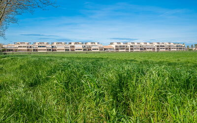 Saint Cyprien 715