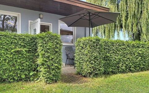 Goetheallee: Busk, Hæk, Bunddække, Have, Skygge, Evergreen, Landscaping, Backyard, Plantation
