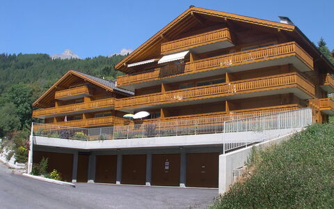 Ovronnaz 700: Himmel, Plante, Bygning, Træ, Træ, Hældning, Ejendom, Facade, Fritid, Landskab