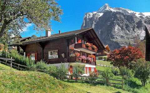 Grindelwald 255: Plante, Himmel, Bygning, Bjerg, Naturlige Landskab, Træ, Highland, Land Lot, Hus, Vindue