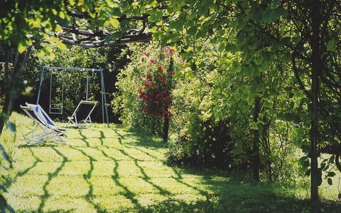 La Cenerara: Grøn, Natur, Træ, Græs, Have, Lawn, Sollys, Blad, Botanik, Forår