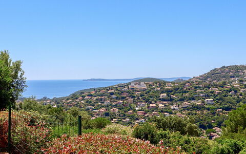 Le Cap: Blomst, Himmel, Plante, Naturlige Landskab, Træ, Vegetationen, Bjerg, Vand, Landskab, Horisont